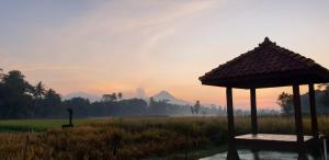 a bench in a field with the sunset in the background at Anugrah Borobudur 1 & 2 in Borobudur