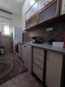 a kitchen with a sink and a refrigerator at Green House Pejovic in Podgorica