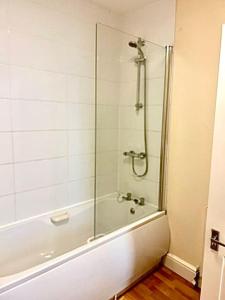a bathroom with a shower with a glass door at Relaxing Park View Apartment in Hastings