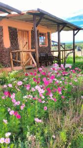 a field of flowers in front of a building at Beats Of Beads Trust in Masai Mara