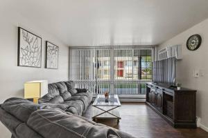 Ferndale的住宿－Stylish cozy 1 Bedroom Apartment in Ferndale MI，带沙发和电视的大型客厅