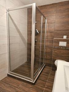 y baño con ducha y puerta de cristal. en Planinska kuća Ruža en Kupres