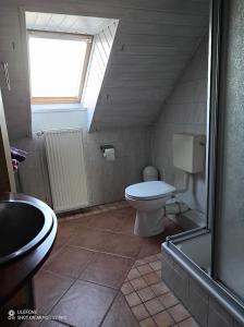 a bathroom with a toilet and a sink and a window at Ferienhof Welsch Wohnung 2 in Großefehn 