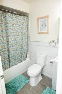 a bathroom with a toilet and a shower curtain at Spacious 1bd apt in DT Dearborn in Dearborn