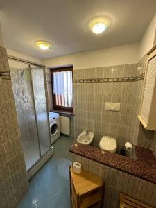 uma casa de banho com um lavatório, um WC e um chuveiro em Suan Hut em Ziano di Fiemme