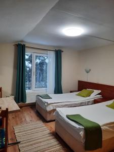 sypialnia z 3 łóżkami i oknem w obiekcie Villa Sveti Dimitar w Borowcu