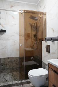 a bathroom with a shower with a toilet and a sink at Апарт-готель LOGOS in Skhidnitsa