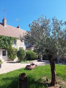 Vonkajšia záhrada v ubytovaní Gîte de la tour de Loire - 65 m2 au pied d'une tour de gué du 17ème siècle
