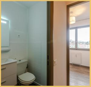 een badkamer met een toilet, een wastafel en een raam bij Studio Paisible Annemasse in Annemasse