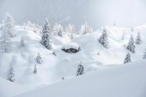 Obiekt Doug's Mountain Getaway - 'Top Two Floors' zimą