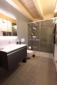 a bathroom with a shower and a sink and a toilet at Ca' dal Nos in Olivone
