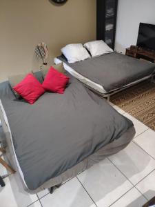 two beds sitting on the floor in a room at LE NAMASTE Charmante maisonnette climatisée de 45 m2 in Brasles