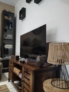 a living room with a television and a table with a lamp at LE NAMASTE Charmante maisonnette climatisée de 45 m2 in Brasles