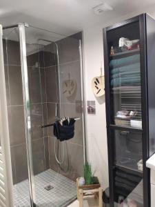 a shower with a glass door in a bathroom at LE NAMASTE Charmante maisonnette climatisée de 45 m2 in Brasles