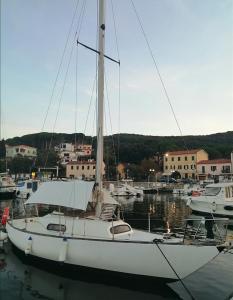 un velero blanco atracado en un puerto con otros barcos en Cavo Beach 1, en Cavo