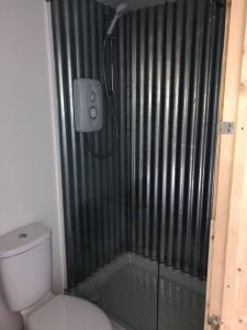 e bagno con doccia, servizi igienici e doccia in vetro. di Fairway Lodge a Saint Erth