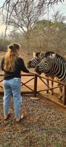 a woman standing next to a fence looking at a zebra at Khumbula iAfrica 1 in Marloth Park