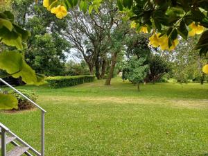 un parco con erba verde e alberi sullo sfondo di Chácara Rosa Cortiana a São Gabriel