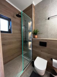 W łazience znajduje się toaleta i przeszklony prysznic. w obiekcie Ocean-Πολυτελές διαμέρισμα στο Αγρίνιο w mieście Agrinio