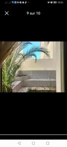 a picture of a window with a palm tree at Villa archen in Soliman