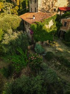 an overhead view of a garden with flowers and plants at Orto dei Bruchi in Lucca +38 photos
