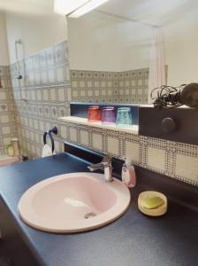 ein Bad mit einem Waschbecken und einem Spiegel in der Unterkunft Gîte les deux sources au pied du Vercors in Saint-Laurent-en-Royans