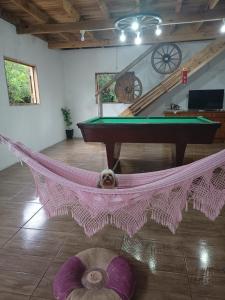 a dog laying in a hammock in a room with a pool table at Cabana recantodosamigositapua praia dos passarinhos itapua in Viamão