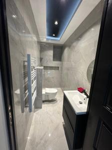 a bathroom with a white toilet and a sink at Appartement T3 Terrasse in Frontenex-Villard-Rosset +27 photos