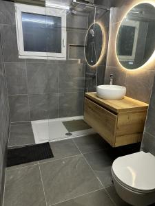 a bathroom with a shower and a sink and a toilet at Apartment Leysin - Swiss Alps - Fully Renovated ! in Leysin