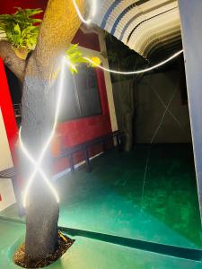 a swimming pool with a tree in the middle at Hostel kuruku santhu colive in Puducherry