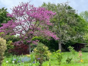 Vườn quanh LA GUITOUNE