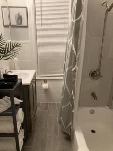 a bathroom with a shower and a tub and a sink at Perfect for Families and Traveling Professionals in Albany