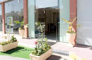 un grupo de plantas en macetas sentadas fuera de un edificio en منازل لينة Manazel Lina, en Al Hofuf