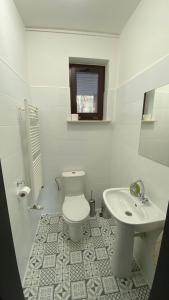 a white bathroom with a toilet and a sink at Dom #BESKIDZKA in Rzeszów