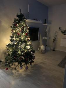 a christmas tree sitting in a living room at 2 bedroom apartment near by Santa Claus village in Rovaniemi