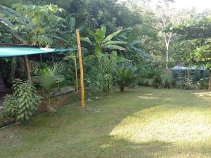 un jardín con plantas y un poste en la hierba en Casa River Camping en Tigre
