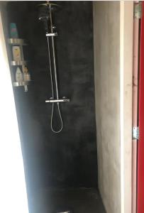 una ducha en una habitación con una pared negra en Tiny house for 2 with private garden en Utrecht