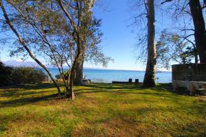 a park with trees and a view of the water at Nina House in Desenzano del Garda