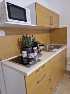Kuchyňa alebo kuchynka v ubytovaní Balaton Apartman Füred