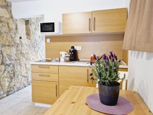 Kuchyňa alebo kuchynka v ubytovaní Balaton Apartman Füred