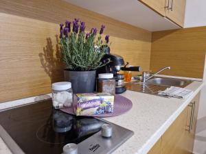 Kuchyňa alebo kuchynka v ubytovaní Balaton Apartman Füred