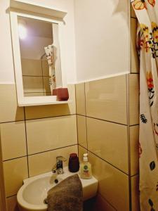 Kúpeľňa v ubytovaní Balaton Apartman Füred