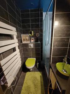 a bathroom with a green toilet and a sink at bel appartement 50 m2 aux portes de STRASBOURG de 1 à 5 personnes chez particuliers avec 2 sdb coin cuisine-repas et kitchinette Prix négociable pour 1 personne in Vendenheim