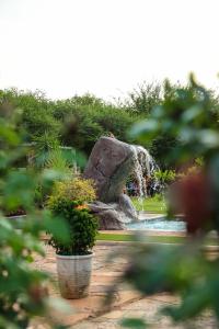a waterfall in a garden with a potted plant at SABI Escapes in Mochudi