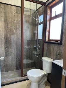 a bathroom with a toilet and a glass shower at Complejo Turístico Los Laureles Arauco in Arauco