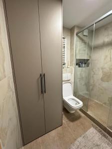 a bathroom with a toilet and a walk in shower at Arena Mila in Novi Beograd