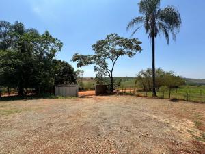 a dirt road with a palm tree and a fence at Jardim Canastra in São Roque de Minas
