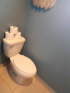 białą toaletę w łazience z rolkami papieru toaletowego w obiekcie Golf Course View & Totally Private Pool w mieście Nuevo Vallarta