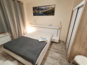 1 dormitorio con 1 cama en una habitación en Студио Орфееви Скали, en Pamporovo