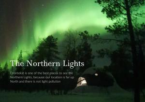 obraz zorzy polarnej na niebie w obiekcie Arctic Nature Experience Glamping w mieście Vuontisjärvi